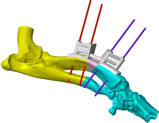 3d