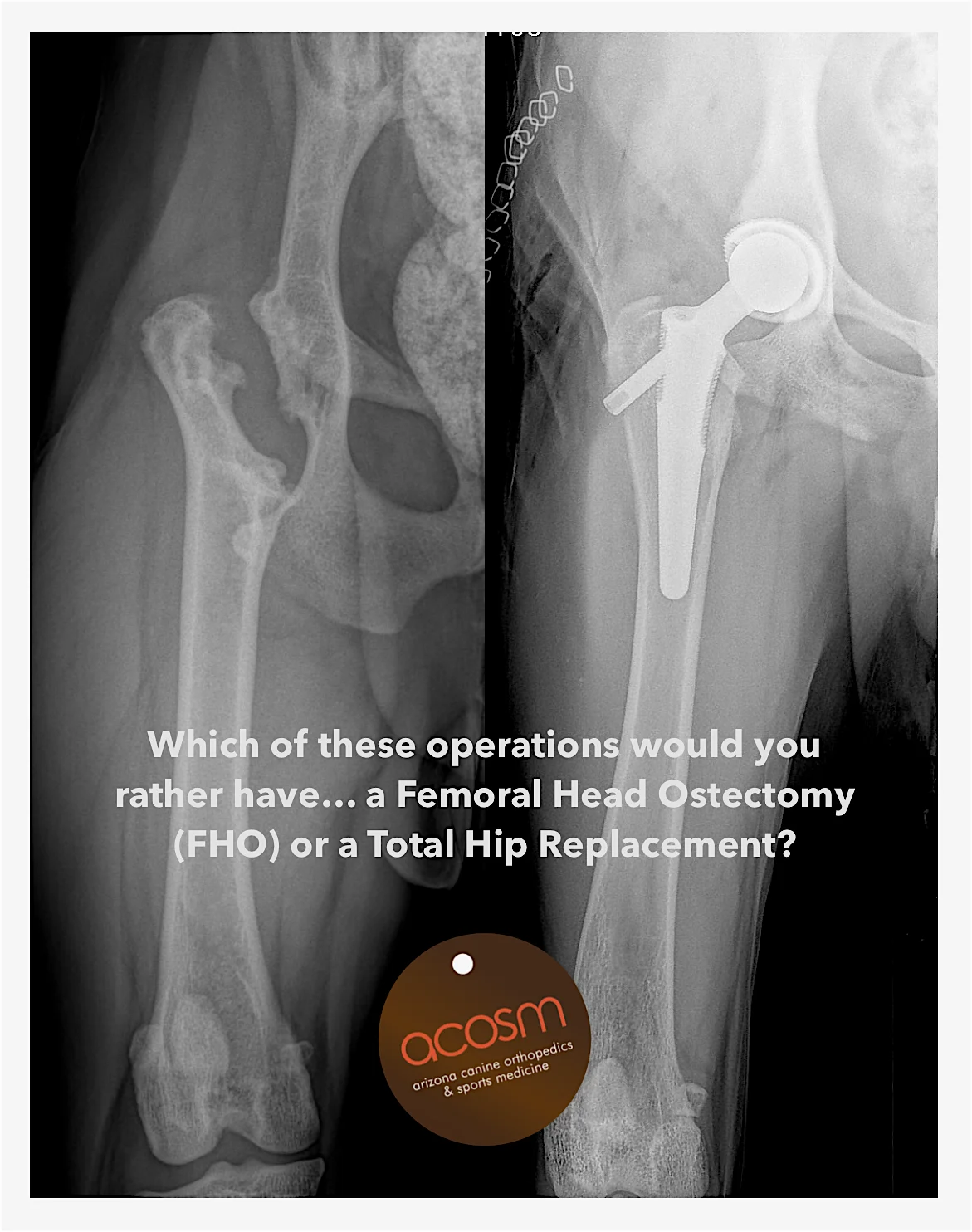 FHO-v-THR display-ad