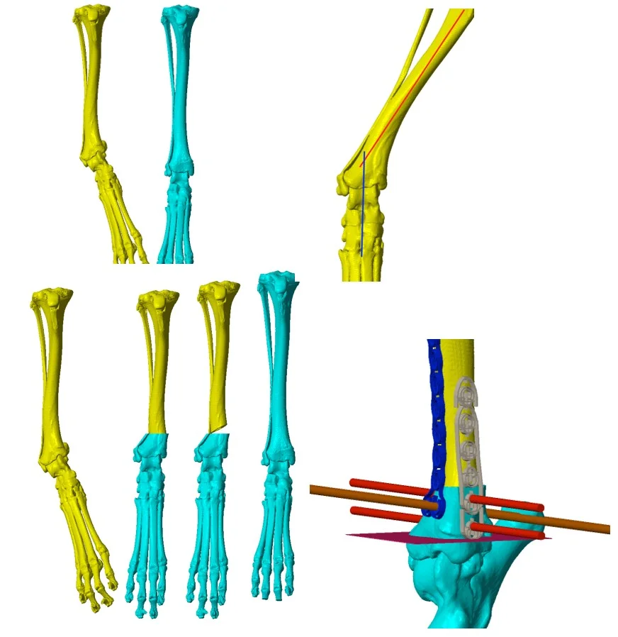 img-3dp-6