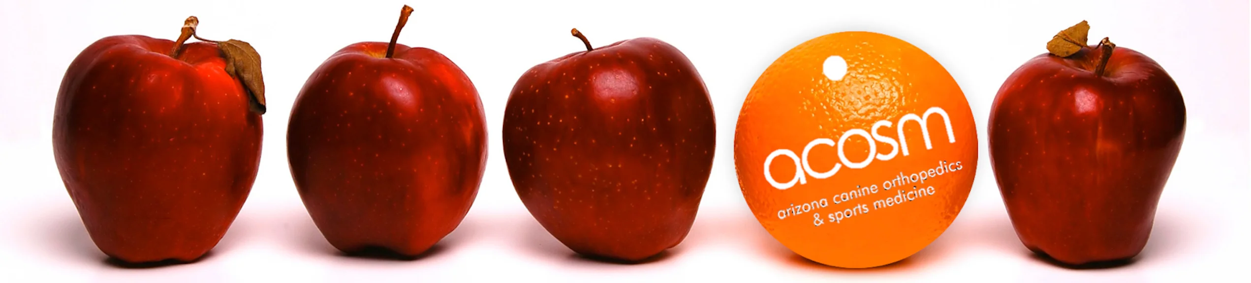 img-Comparingapplesandoranges