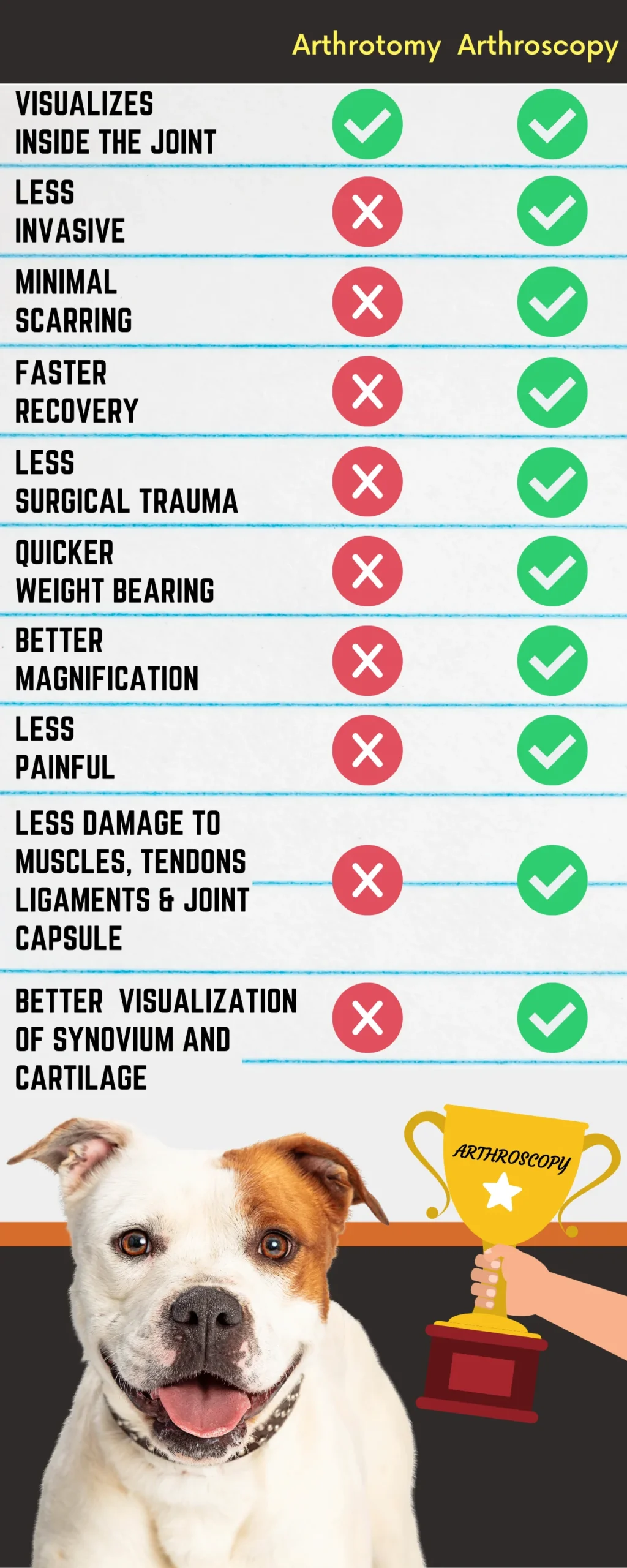 img-arthroscopy