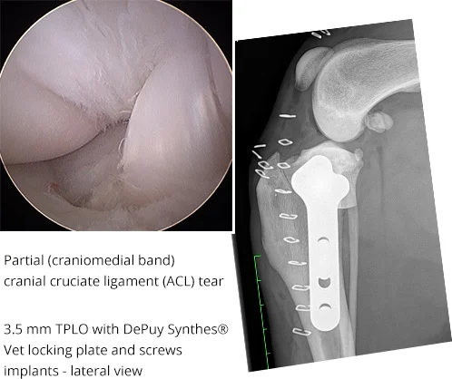 medical-imaging