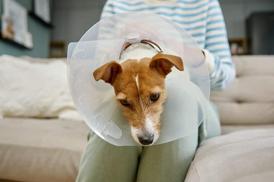 Urgent Care Surgery